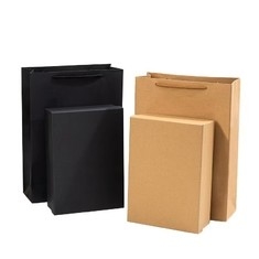 Customized Packaging Kraft Paper Box with Printing Hot Stamping